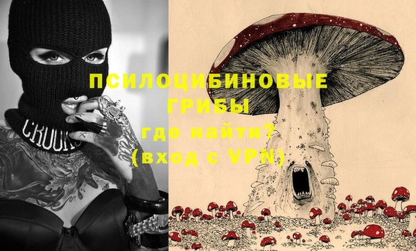 ешки Володарск